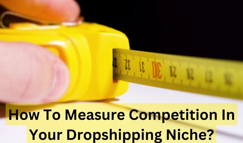 dropshipping niche competition measure