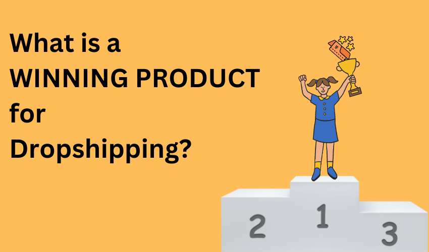 winning products for dropshipping