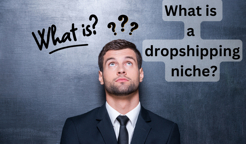 what is a dropshipping niche