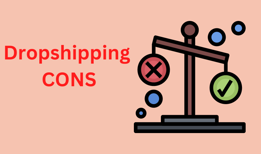 pros and cons of dropshipping