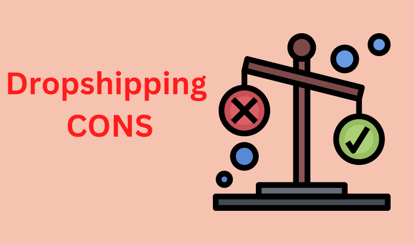 Why  Dropshipping Is A Bad Idea [& Better Options]