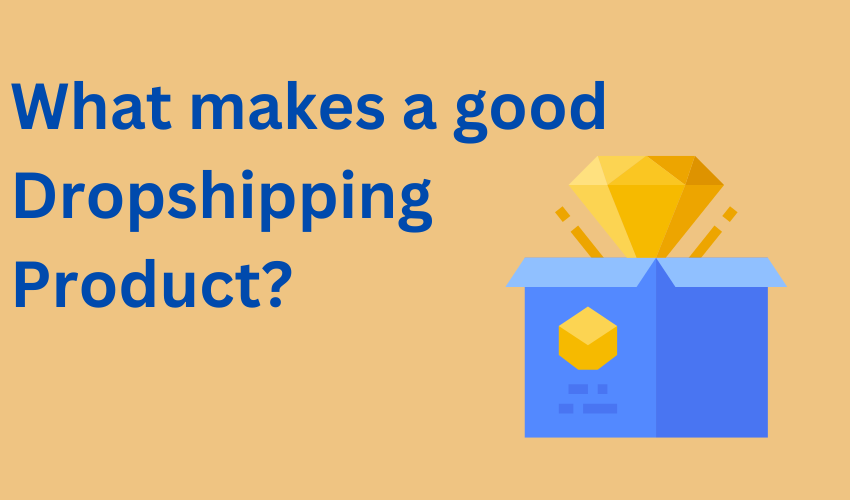 what is a good dropshipping product