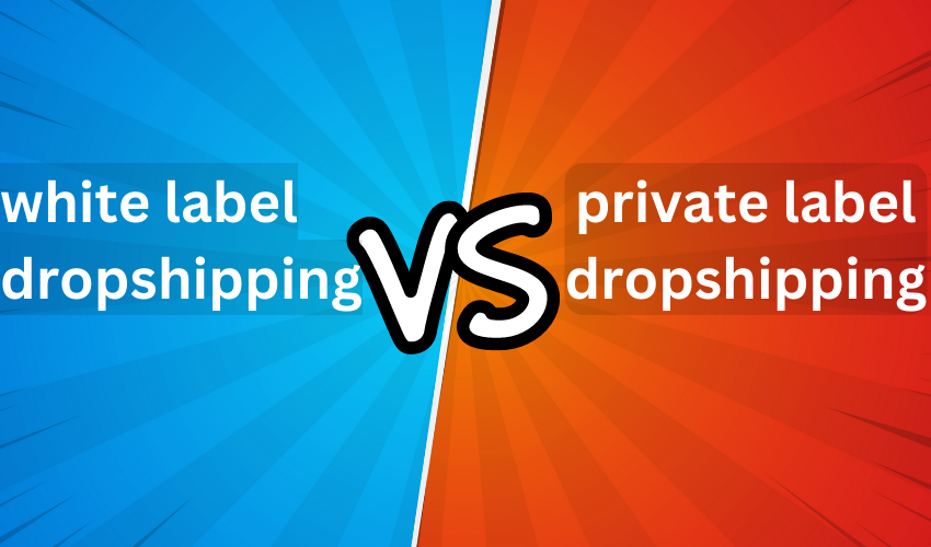 Private Label vs. White Label Dropshipping: Pros, Cons, and Best Practices