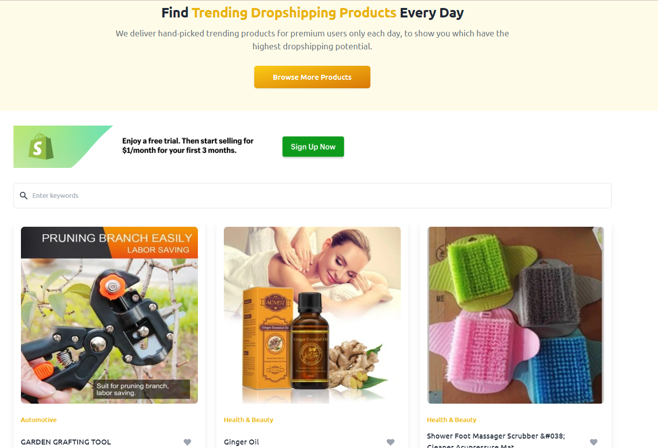 dropshipping.com business plan