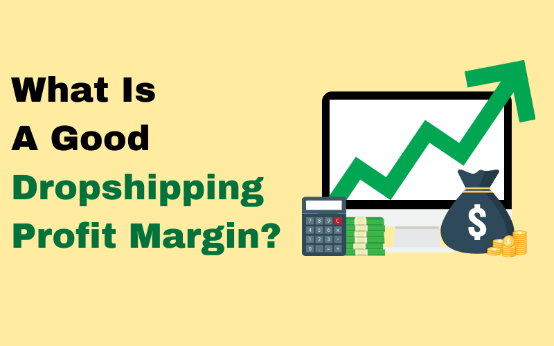 Dropshipping Profit Margin: A Step-By-Step Guide For Beginners